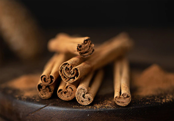 Ceylon cinnamon ALBA exporter in Sri Lanka