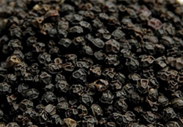 Ceylon Black Pepper exporter in Sri Lanka