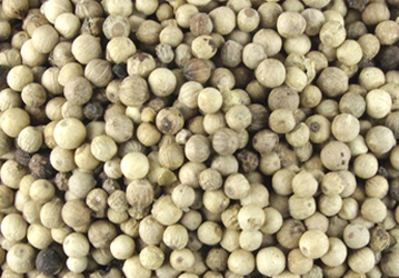 Ceylon White Pepper exporter in Sri Lanka