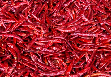 Red Dry Chilli exporter in Sri Lanka