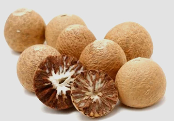 betel-nut-exporter-in-sri-lanka