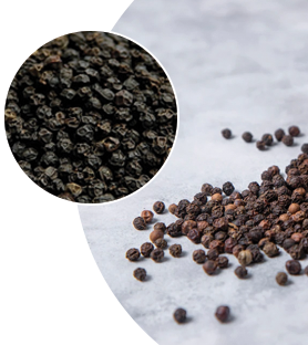 pepper-exporter-in-sri-lanka